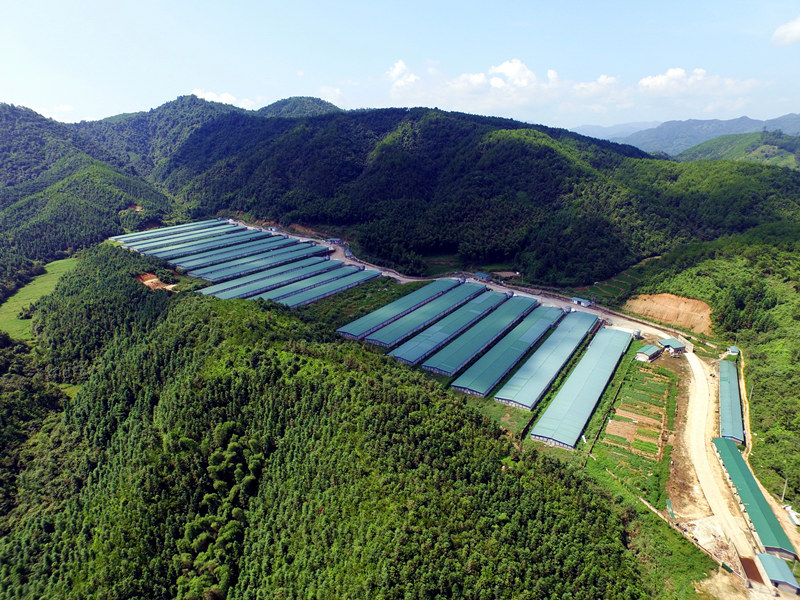 4008云顶集团|中国有限公司-官方网站