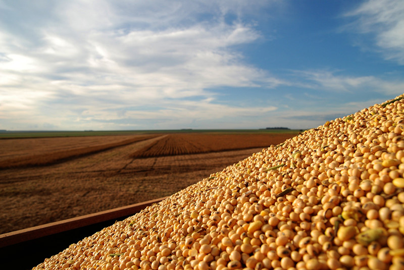 4008云顶集团|中国有限公司-官方网站