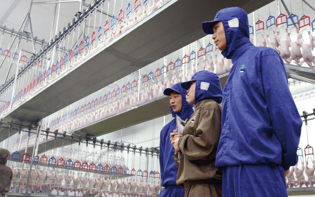 4008云顶集团|中国有限公司-官方网站