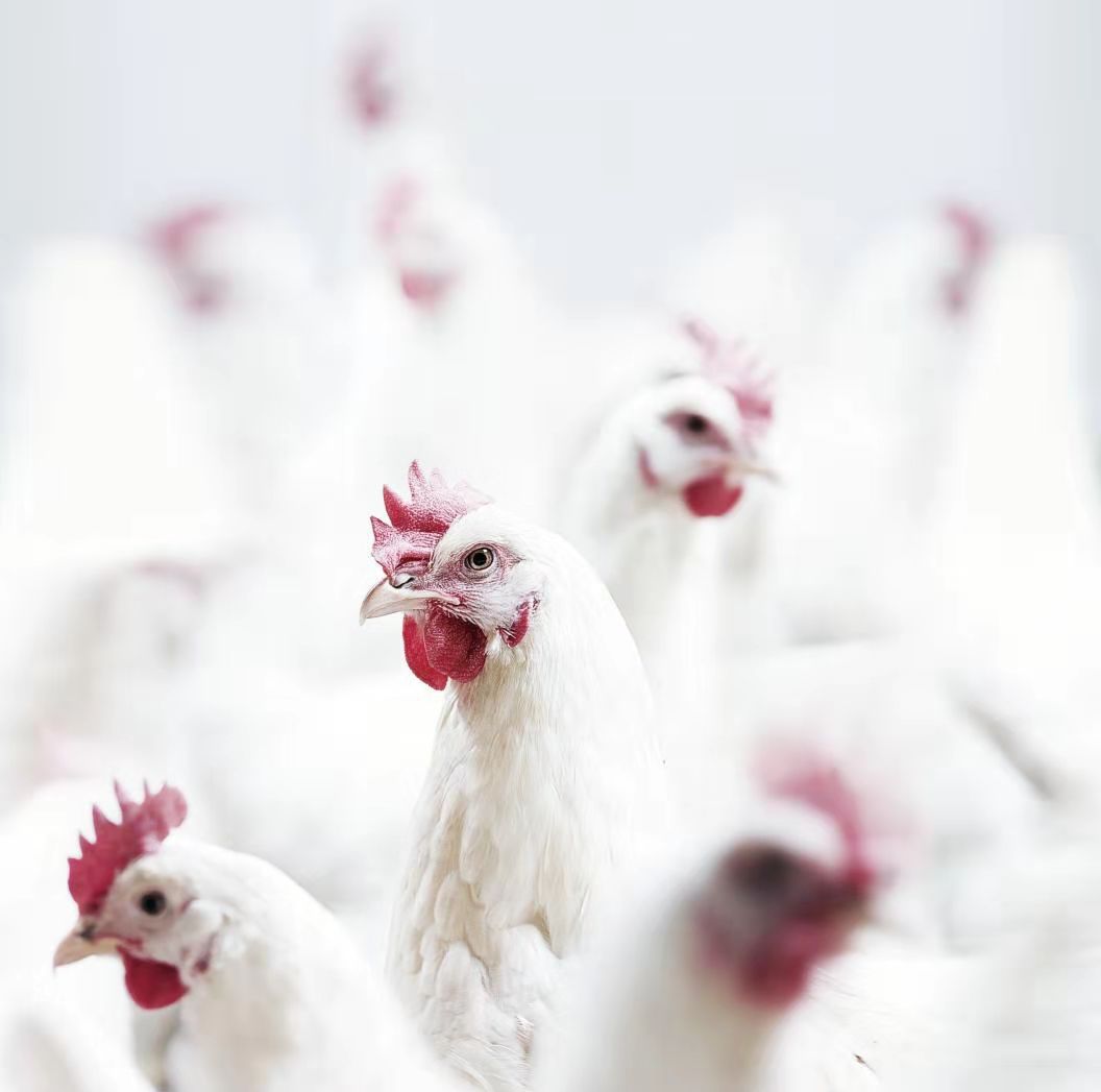 4008云顶集团|中国有限公司-官方网站