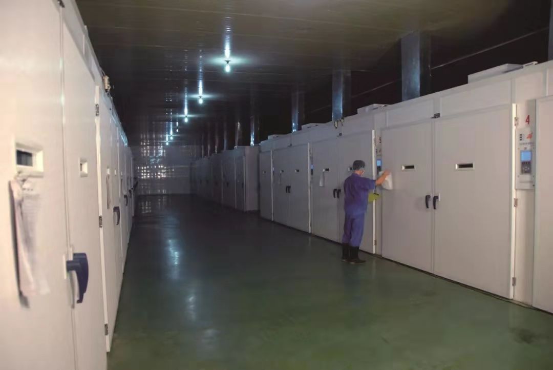 4008云顶集团|中国有限公司-官方网站