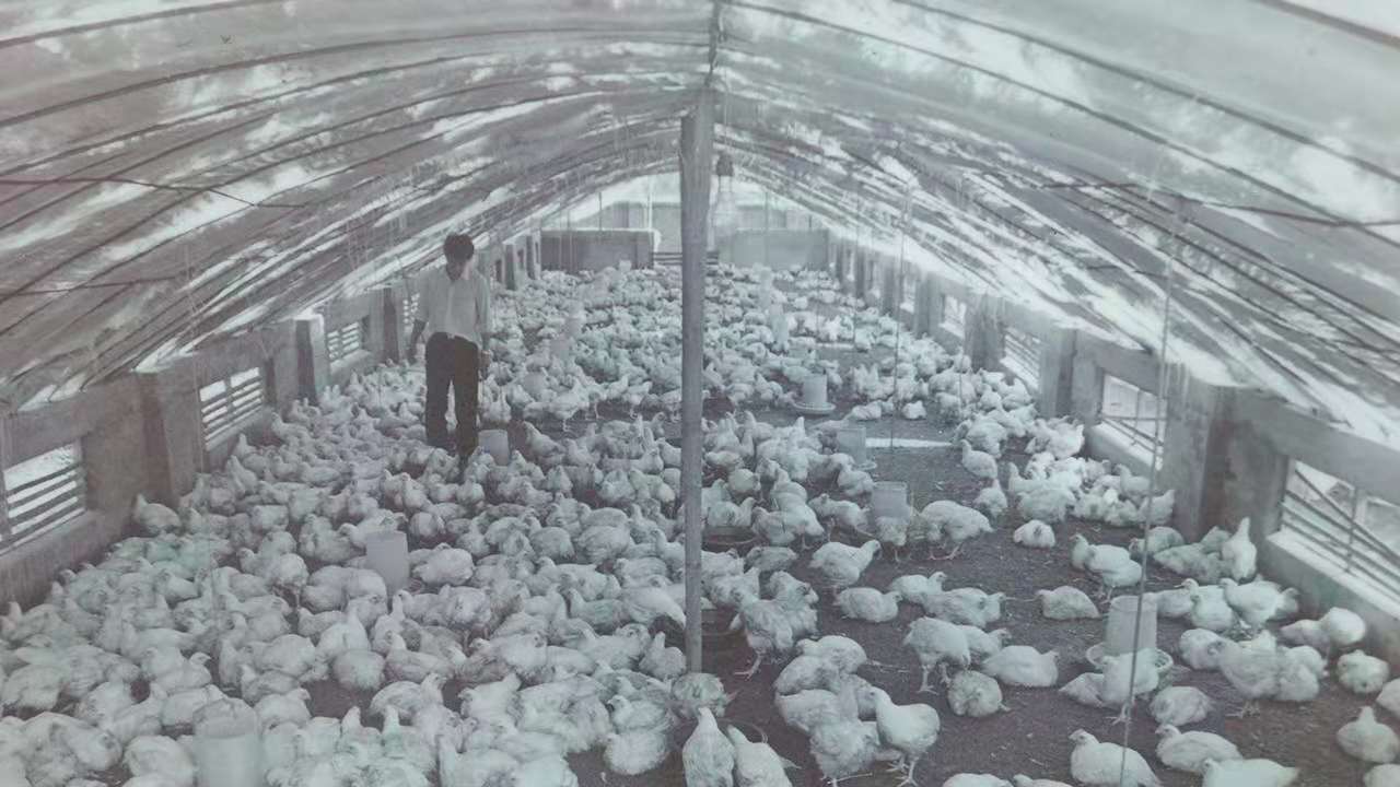 4008云顶集团|中国有限公司-官方网站